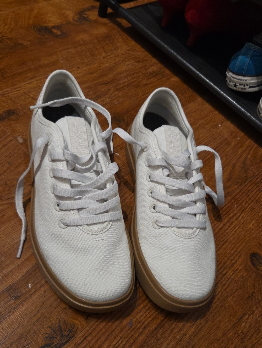 NWT Allbirds Canvas Pipers White Women's 9.5